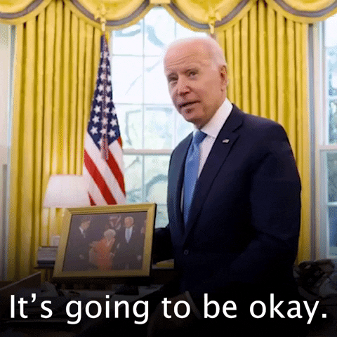 Reassuring Joe Biden GIF by The Democrats