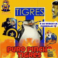 Liga Mx Tigres GIF