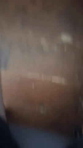 Sunlight GIF