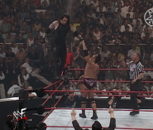 6. NO DQ Match for the TNW Elite Championship > The Rock (c) vs. The Undertaker Giphy