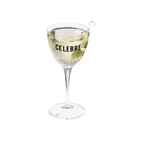 Celebreyourday Sticker by CELEBRE