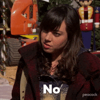 Season 2 No GIF by Parks and Recreation