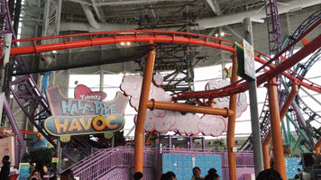 Timmy's Half-Pipe Havoc