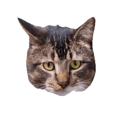 Groundschgc Sticker by CountryHillsGolf