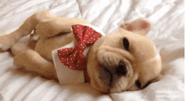 200.gif?cid=f0bdee7021ppe0z3ks5ssmrcka78nx7ioa2midzmhupkm8ht&rid=200.gif&ct=g