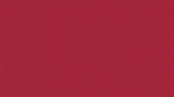 Charroslmb2025 GIF by Charros de Jalisco