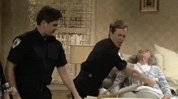 comic life 3 gif support