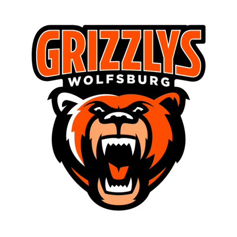 National Hockey League Sport Sticker by Deutsche Eishockey Liga (DEL)