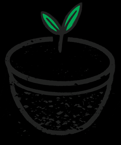 SFBC GIF