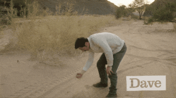 Comedy Camping GIF