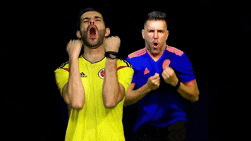 World Cup Football GIF by ALKILADOS