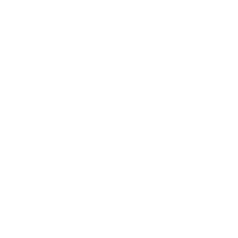 focustef Sticker