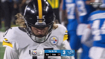 Excited Nfl GIF by Pittsburgh Steelers