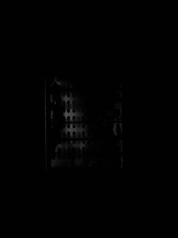 GIF by Analogueseller