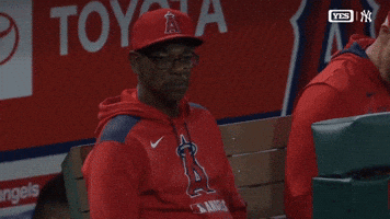 Los Angeles Angels No GIF by MLB