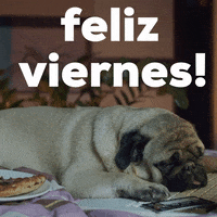 Pug Viernes GIF by Sealed With A GIF