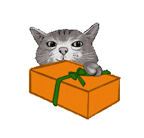 Cat Christmas Sticker by IAMS Deutschland