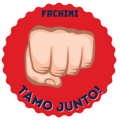 Fachini Distribuidora Sticker