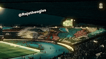 Raja Casablanca Eagles GIF
