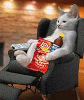 couch potato cat GIF