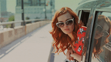 car hair GIF by by The Barkers