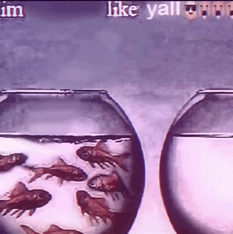 Jump Jumping GIF