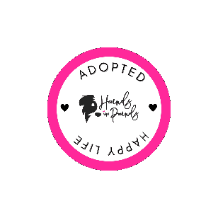 Hounds in Pounds Sticker