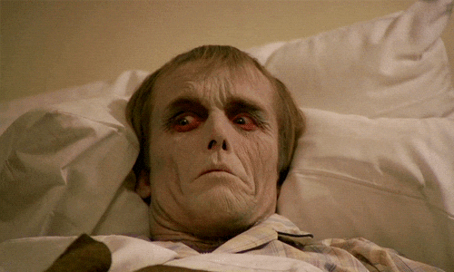 dawn of the dead zombie GIF by Maudit