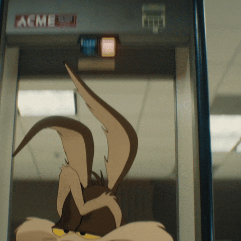 Coyote vs. ACME GIF