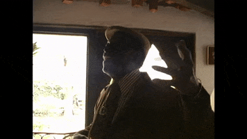 Fellove GIF