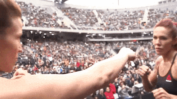 200.gif?cid=fc005b0820f4a3a29b8e070b6885ab01924afea316963b0d&rid=200.gif&ct=g