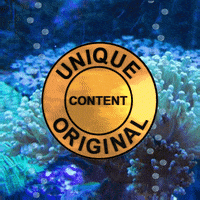 Ocean Original Content GIF
