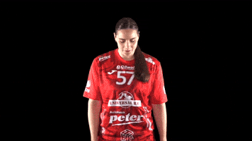 Hbf GIF by Handball Bundesliga Frauen