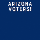Election 2020 Arizona