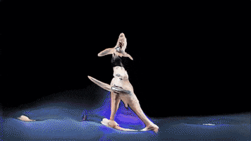 Glitch GIF