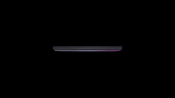 Rog GIF