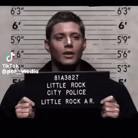 Police Jail GIF