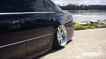 Teflon Don Photoshoot GIF by Curated Stance!