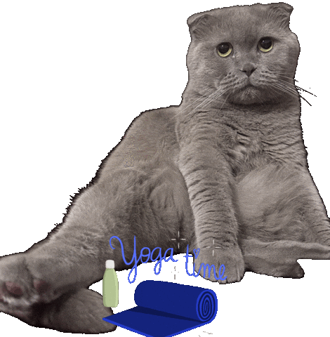Cat Yoga Sticker