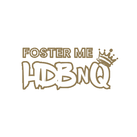 Fostering Bay Area Sticker by HDBnQ Rescue