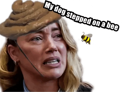 My dog Stepped on a bee - GIPHY Clips