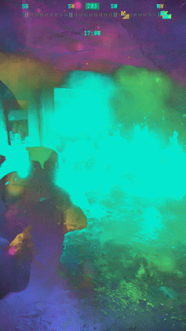 GIF by Red Eye Rabbit