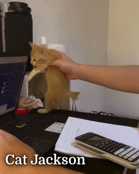 Michael Jackson Mj GIF