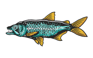 Peces Flyfishing Sticker