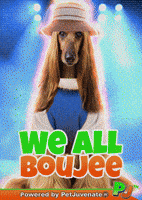 Taylor Ellen GIF by PetJuvenate - PJ