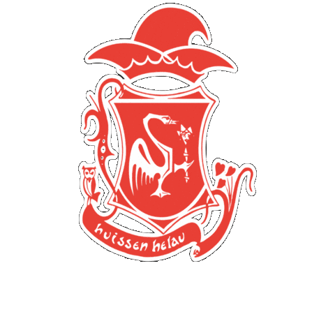 Carnaval Sticker by Kraonige Zwaone