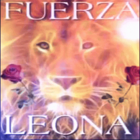 Lion Leona GIF