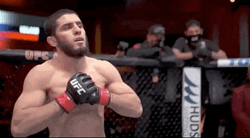 Islam Makhachev Sport GIF by UFC