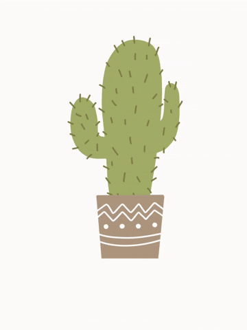 Plants Cactus GIF by M&M Petit Soupirs