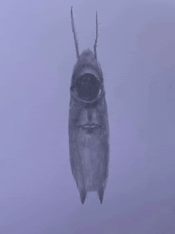 Art Spongebob GIF